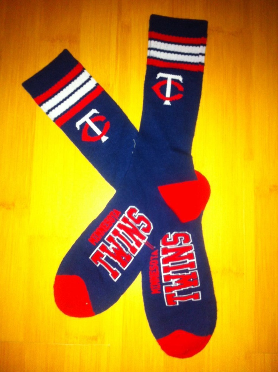 Minnesota Twins Team Logo Blue MLB Socks