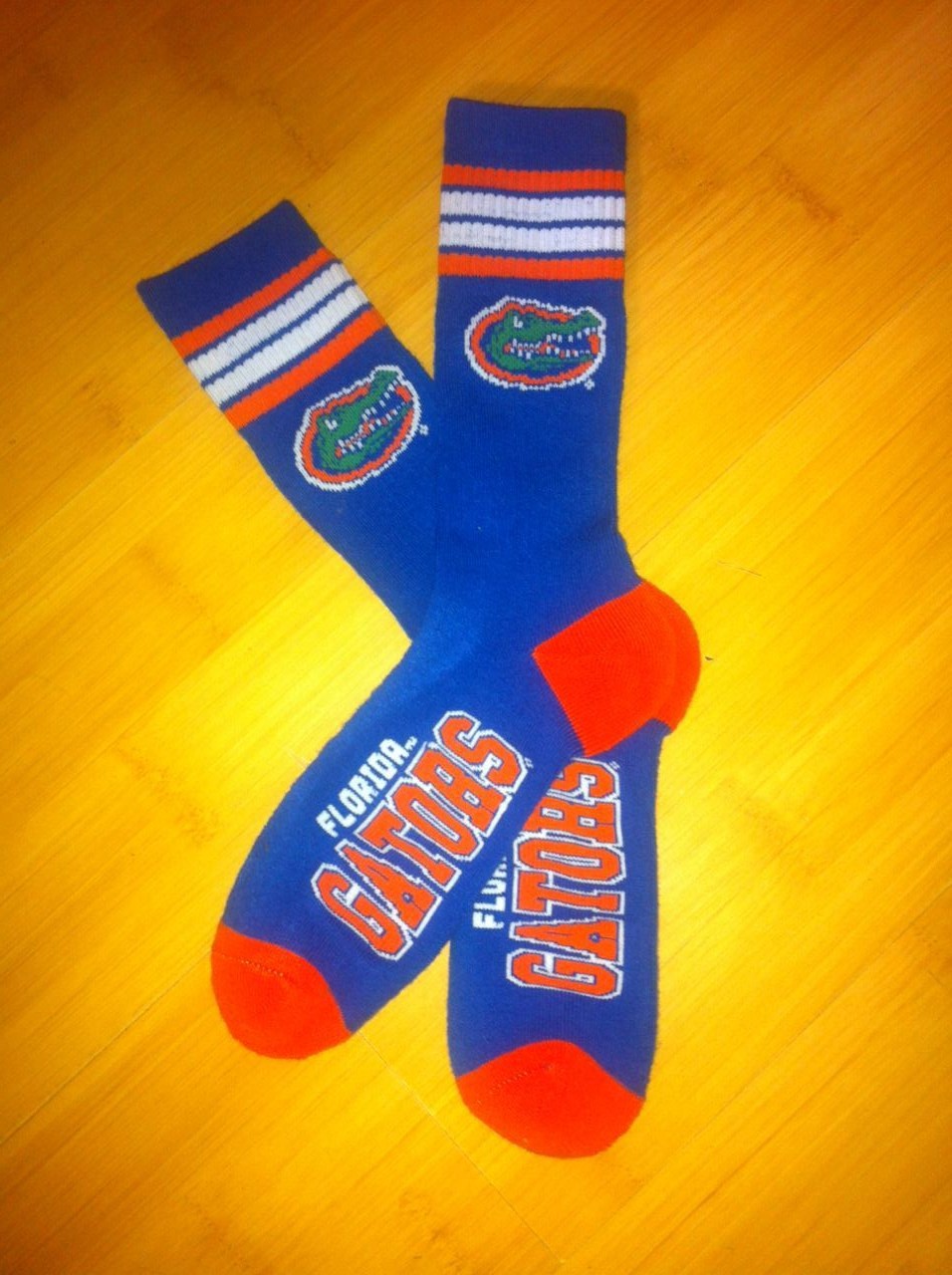 Florida Gators Team Logo Blue NCAA Socks